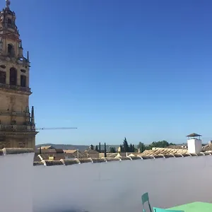 https://entre-2-mezquitas-apartamento-8.es-andalucia.com